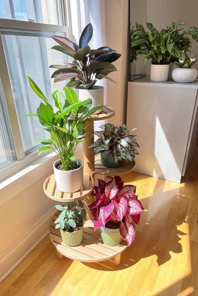 The Houseplant Habits Worth Stealing From Rooms That Actually Work